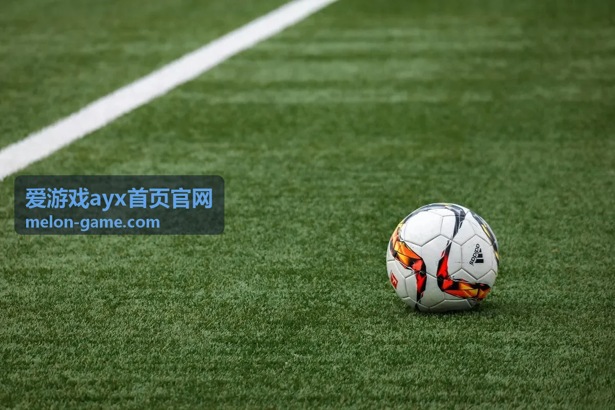 爱游戏ayx首页官网新手指引封面