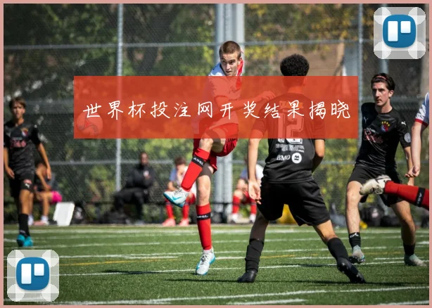 世界杯投注网开奖结果揭晓