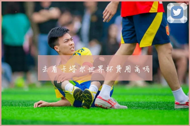 去看卡塔尔世界杯费用高吗
