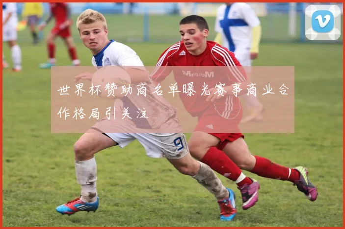 世界杯赞助商名单曝光赛事商业合作格局引关注