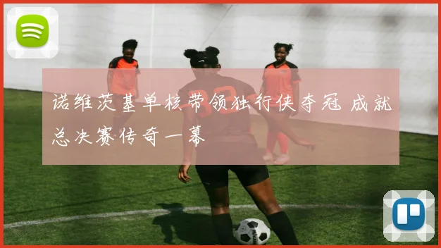 诺维茨基单核带领独行侠夺冠 成就总决赛传奇一幕