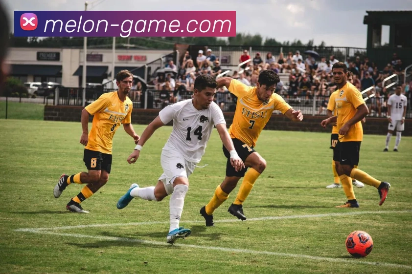 在线买世界杯平台全站App 在线买世界杯平台全站App